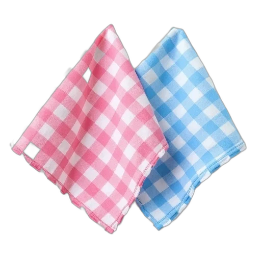 dress, umbrella, pastel, gingham transparent PNG cut-out