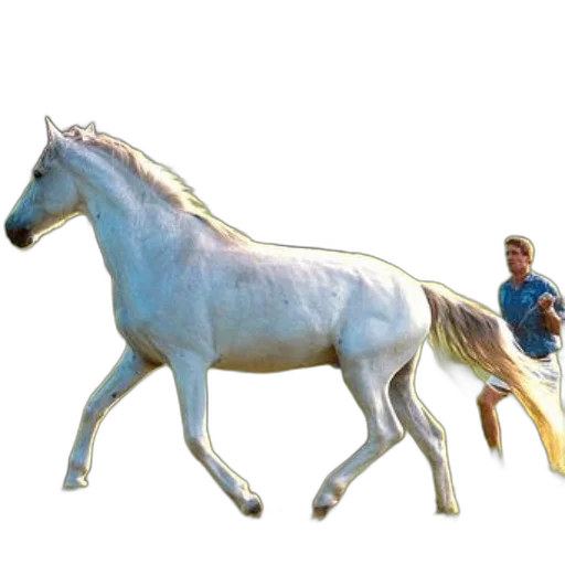 animal, creature, weapon, dragon, concept art, 3d render, photorealistic, vaporwave transparent PNG cut-out
