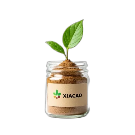 food, 3d render, small, plant, single, green, leaf, growing transparent PNG cut-out