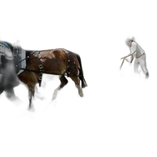 animal, creature, weapon, dragon transparent PNG cut-out