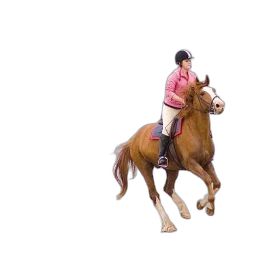 animal, creature, jacket, photorealistic, 3d render, concept art, oil painting, person transparent PNG cut-out