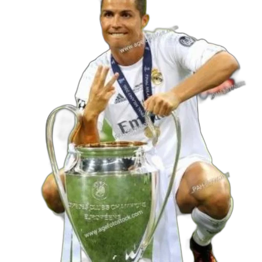 animal, photorealistic, pixel art, soccer, player, white, uniform, kneels transparent PNG cut-out