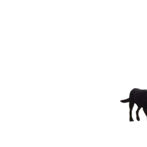 animal, creature, furniture, weapon transparent PNG cut-out