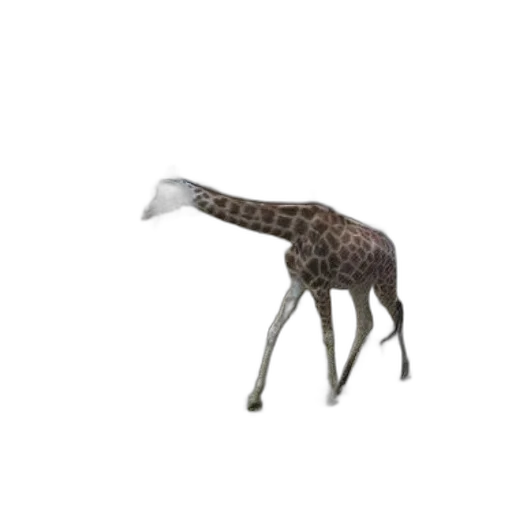 animal, creature, hat, staff, 3d render, concept art, pixel art, photorealistic transparent PNG cut-out