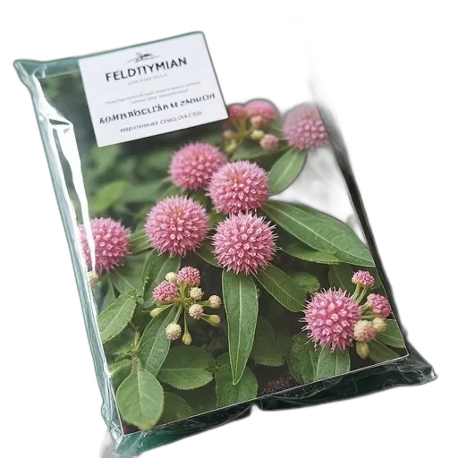 photorealistic, close-up, image, plant, pink, flowers, green, leaves transparent PNG cut-out