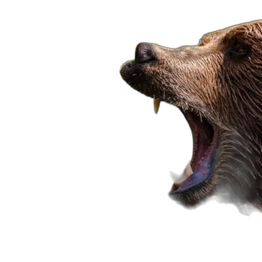 animal, creature, photorealistic, concept art, 3d render, watercolor, two, grizzly transparent PNG cut-out