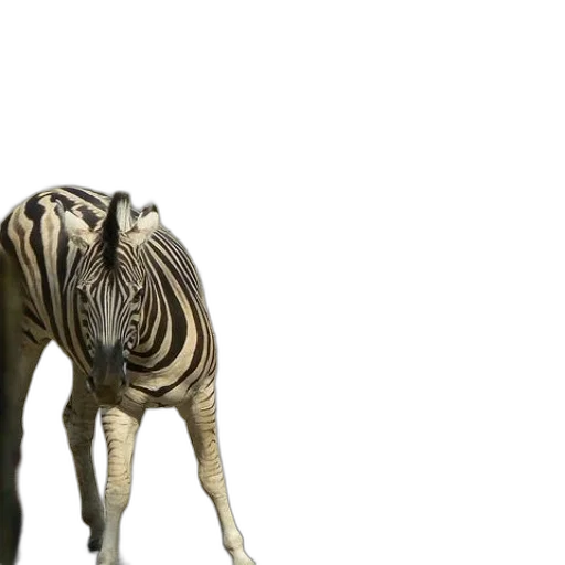 animal, creature, dragon, 3d render transparent PNG cut-out