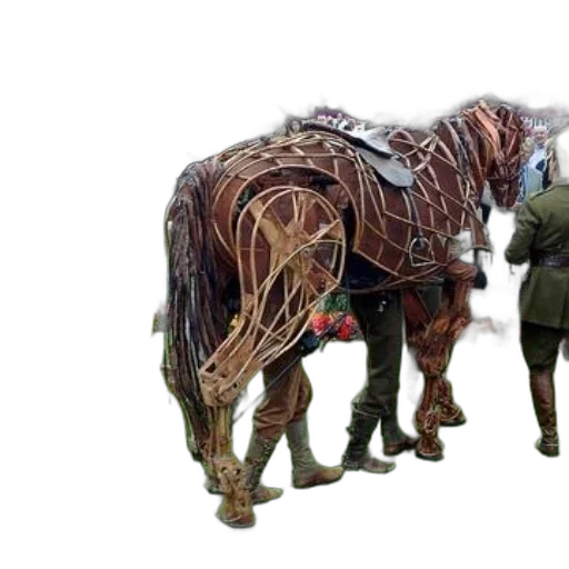 animal, weapon, creature, jacket transparent PNG cut-out