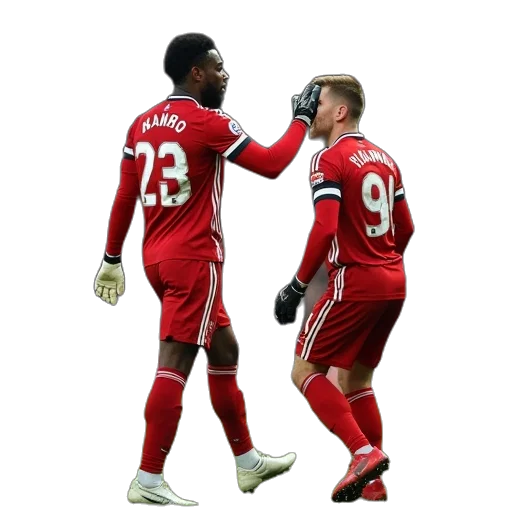 animal, southampton, goalkeeper, daniel transparent PNG cut-out