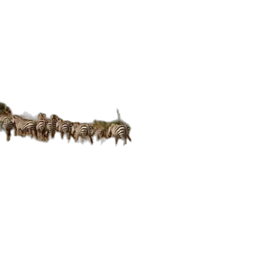 staff, weapon, animal, dragon, 3d render, concept art, pixel art, photorealistic transparent PNG cut-out
