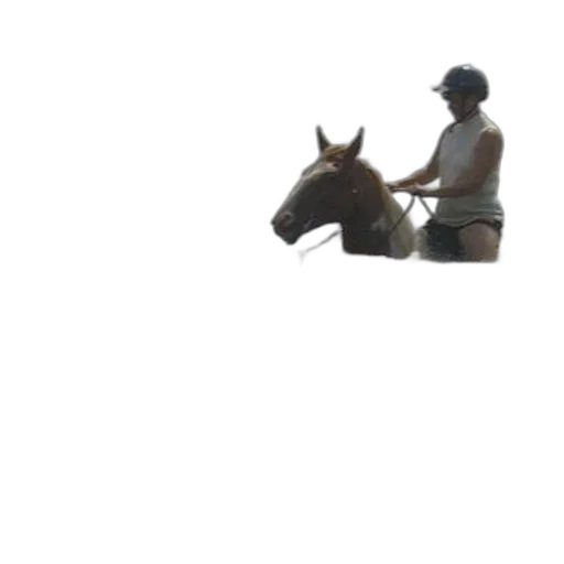 animal, staff, hat, creature, photorealistic, 3d render, pixel art, oil painting transparent PNG cut-out