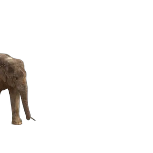 animal, creature, staff, weapon, 3d render, concept art, photorealistic, earth tones transparent PNG cut-out