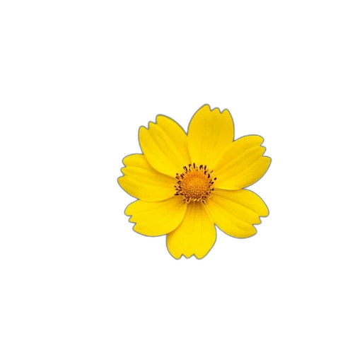 flower, crown, jewelry, weapon, photorealistic, pixel art, 3d render, oil painting transparent PNG cut-out