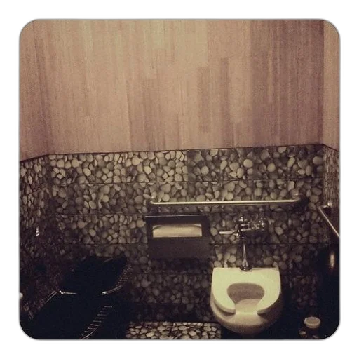 furniture, robot, shoes, animal, monochrome, bathroom, toilet, tiled transparent PNG cut-out