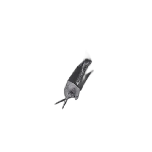 animal, umbrella, creature, staff, 3d render, photorealistic, concept art, pencil sketch transparent PNG cut-out