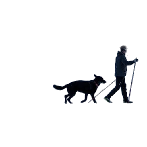 staff, animal, umbrella, creature, concept art, pixel art, 3d render, photorealistic transparent PNG cut-out