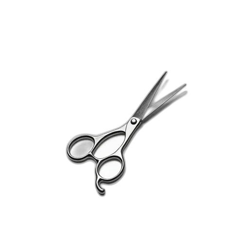 hair, staff, jewelry, weapon, pair, silver, scissors, curved transparent PNG cut-out