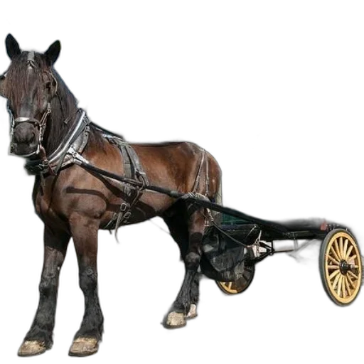 car, staff, animal, weapon, photorealistic, concept art, 3d render, horse-drawn transparent PNG cut-out
