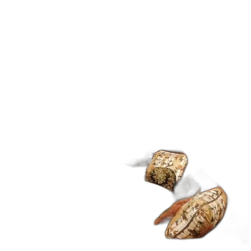 food, jewelry, shoes, animal, 3d render, photorealistic, concept art, luxurious transparent PNG cut-out
