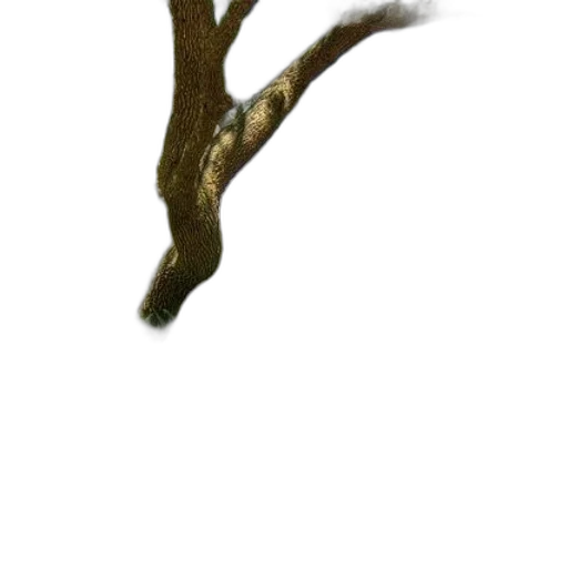 tree, staff, dragon, hair, photorealistic, 3d render, concept art, watercolor transparent PNG cut-out