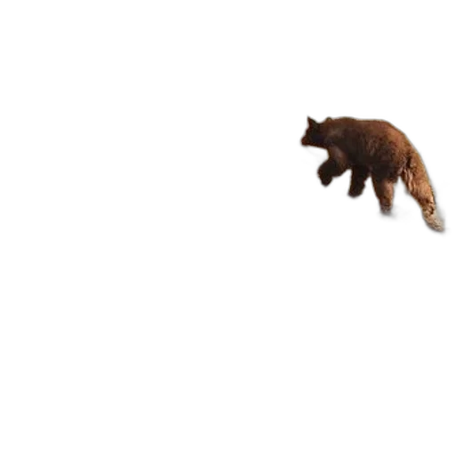 animal, creature, hair, food, pixel art, concept art, 3d render, photorealistic transparent PNG cut-out