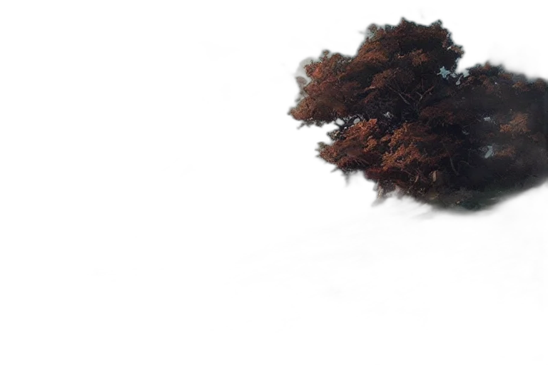 tree, crown, hair, dress transparent PNG cut-out