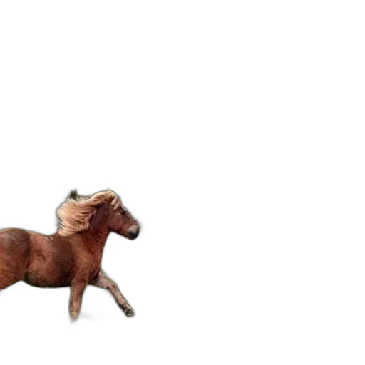animal, furniture, creature, weapon, 3d render, concept art, photorealistic, pixel art transparent PNG cut-out
