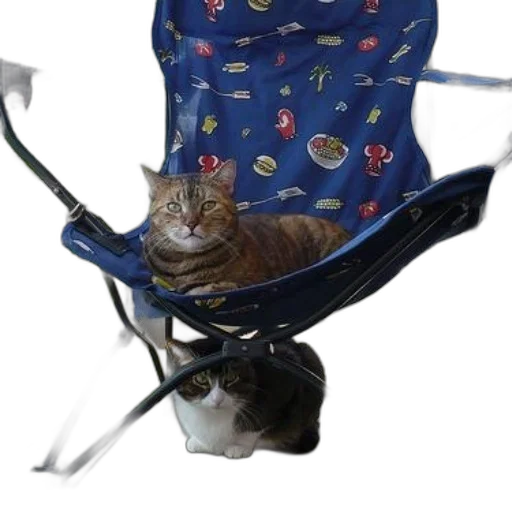 staff, animal, umbrella, creature, photorealistic, 3d render, concept art, outer space transparent PNG cut-out