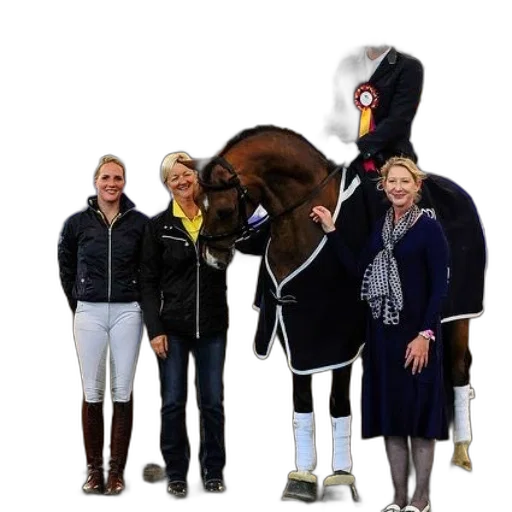 staff, jacket, animal, group, people, stand, horse, arena transparent PNG cut-out