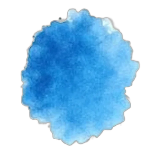 crown, flower, jewelry, hair transparent PNG cut-out