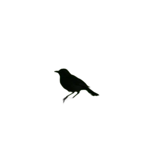 animal, creature, dress, staff, pixel art, photorealistic, concept art, 3d render transparent PNG cut-out