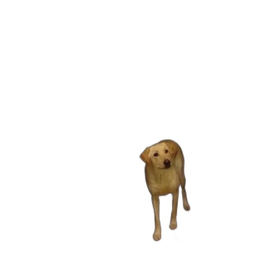 animal, creature, staff, food, 3d render, pixel art, concept art, photorealistic transparent PNG cut-out