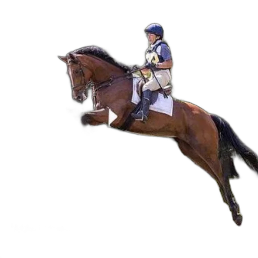 sword, animal, staff, weapon, photorealistic, concept art, 3d render, rider transparent PNG cut-out