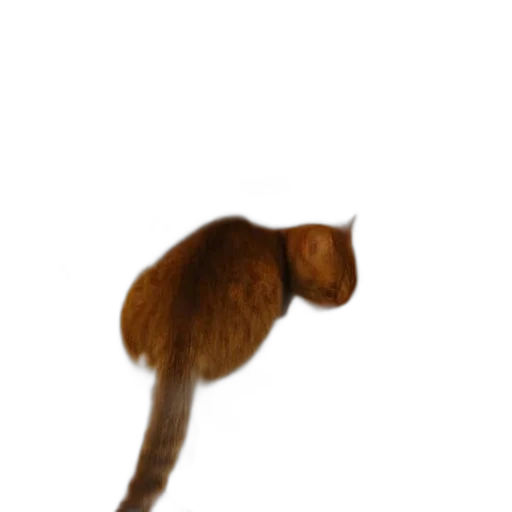 staff, hat, animal, creature, photorealistic, concept art, 3d render, oil painting transparent PNG cut-out