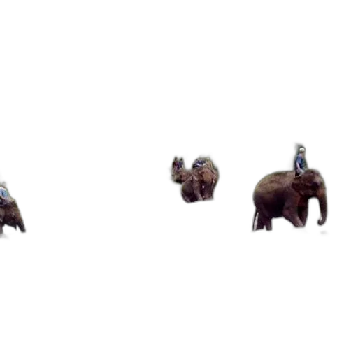 animal, creature, car, furniture, concept art, 3d render, pixel art, photorealistic transparent PNG cut-out