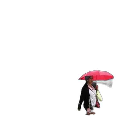 umbrella, hat, jacket, staff, pixel art, 3d render, concept art, photorealistic transparent PNG cut-out