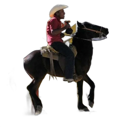 staff, hat, animal, jacket, concept art, 3d render, photorealistic, oil painting transparent PNG cut-out