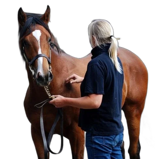 staff, jewelry, animal, jacket, photorealistic, woman, black, shirt transparent PNG cut-out