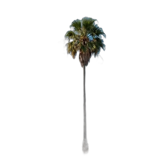umbrella, staff, tree, weapon, photorealistic, 3d render, vaporwave, concept art transparent PNG cut-out