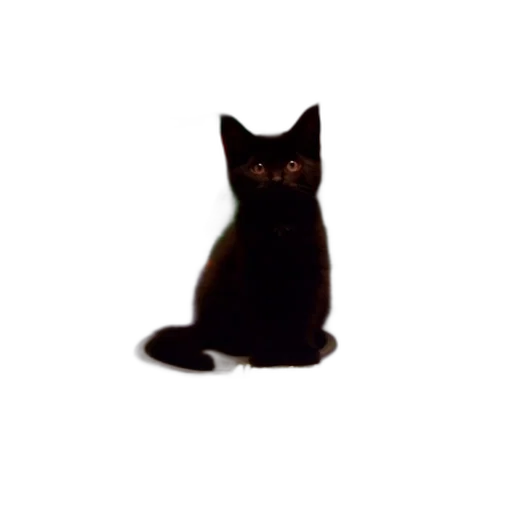 animal, staff, creature, dress, photorealistic, pixel art, 3d render, concept art transparent PNG cut-out