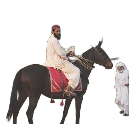 animal, staff, concept art, pixel art, photorealistic, man, traditional, attire transparent PNG cut-out