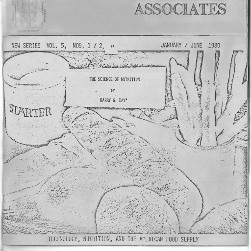 staff, jacket, pencil sketch, underwater, snow, cover, associates, magazine transparent PNG cut-out