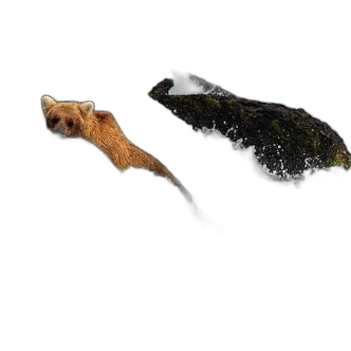 animal, dragon, creature, staff, concept art, 3d render, photorealistic, fantasy art transparent PNG cut-out