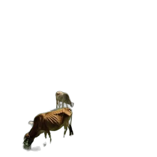 animal, creature, hair, furniture, concept art, 3d render, pixel art, photorealistic transparent PNG cut-out