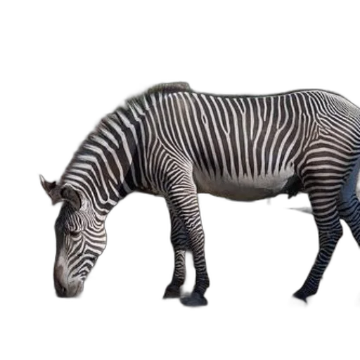 animal, creature, dragon, robot, 3d render, concept art, photorealistic, fantasy art transparent PNG cut-out