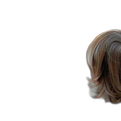 hair, mask, face, crown, photorealistic, 3d render, concept art, earth tones transparent PNG cut-out