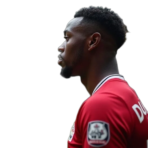 newcastle, person, during, game, against, manchester, united, tyne transparent PNG cut-out