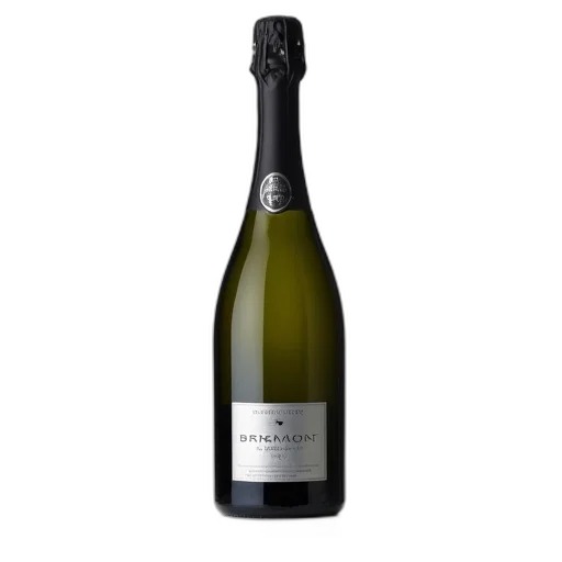 bottle, bremont, brut, 2013, champagne, black, cork, silver transparent PNG cut-out