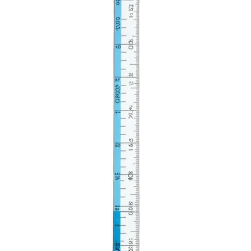 staff, sword, weapon, umbrella, vertical, ruler, markings, inches transparent PNG cut-out