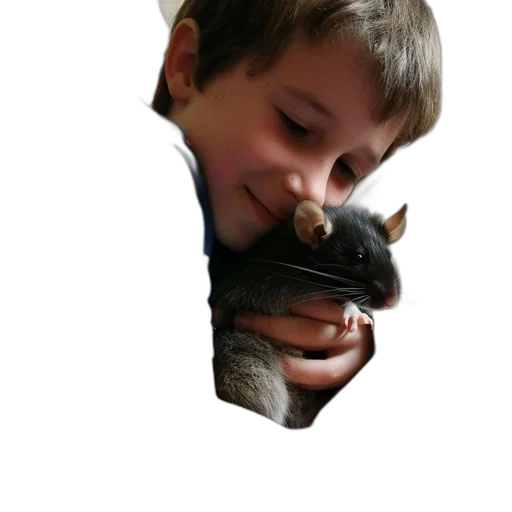 animal, creature, face, hat, photorealistic, 3d render, relaxed, young transparent PNG cut-out